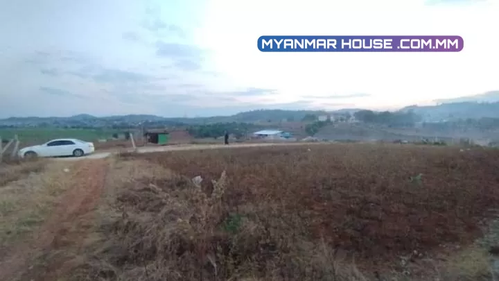 အောင်ပန်းမြို့ လှဲရိုး လွယ်မော လမ်းမကြီး ပေါ်မှ View ကောင်း မြေနေရာကျယ် လမ်း၃ဖက် ပေါက် နေရာ ၈၀ ပေ ၆၀ ပေ ရောင်းပေးမယ်😍 ရေမီး လွယ်ကူ View ကောင်းကောင်းနဲ့ 😋😋 ကြိုက်တာလုပ်စေသော် 😜 ဈေး ၅၅၀ သိန်း (ညှိ) စေ