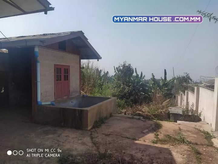 အိမ်လေး အရောင်းတင်ချင်ပါတယ် မိတာပေါက်ပါပြီး အိမ်ရှေ့မှာကားလေးလည်းထားလို့ရတယ်နော် ဈေးကတော့ သိန်း700 ပါးပါးလျော့မယ် ပိုင်ရှင်တိုက်ရိုက် ဈေးပြောနိုင်ပါတယ် 