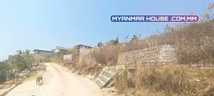 ⏩#တောင်ကြီးမြို့  ⏩#ကျောင်ကြီးစု ဖရဲ  ⭐#အိမ်ဆောက်မလားရင်းနှီးမလား အဆင်ပြေတဲ့အကွက်လေး  ⭐ အကျယ်အဝန်း ပေ 55x55 ⭐  ⭐ #ဂရမ်ပါနှစ် 30  ⭐ ဈေးနှုန်း- သိန်း 550