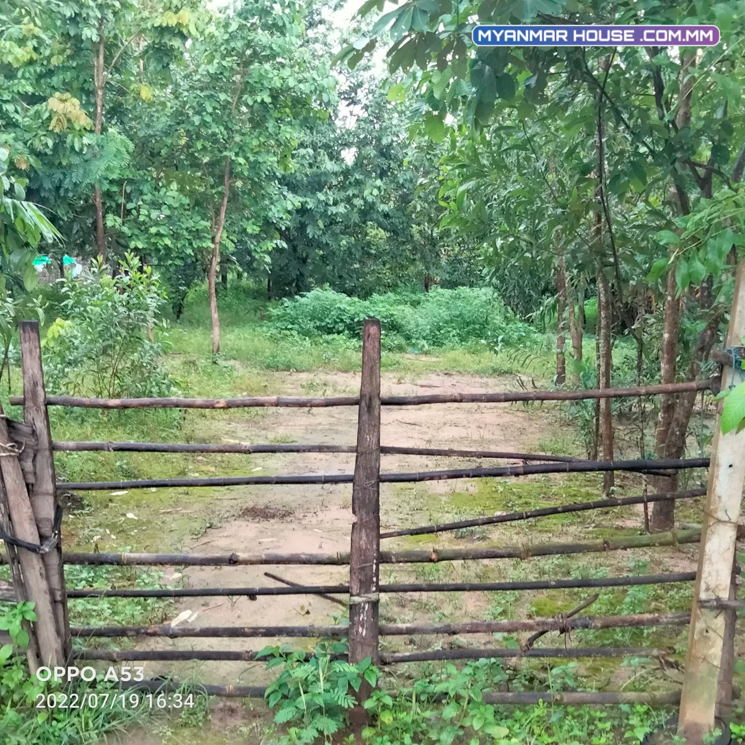 တိုက်ကြီး မေတ္တာအေးရွာဘက်မှာရှိတဲ့ မြေကွက်ရောင်းပါမယ် အကျယ်အဝန်း (၁၆၀ x ၄၂၀ x ၃၇၅)ပေ၊ ၂ ဧကပါ။