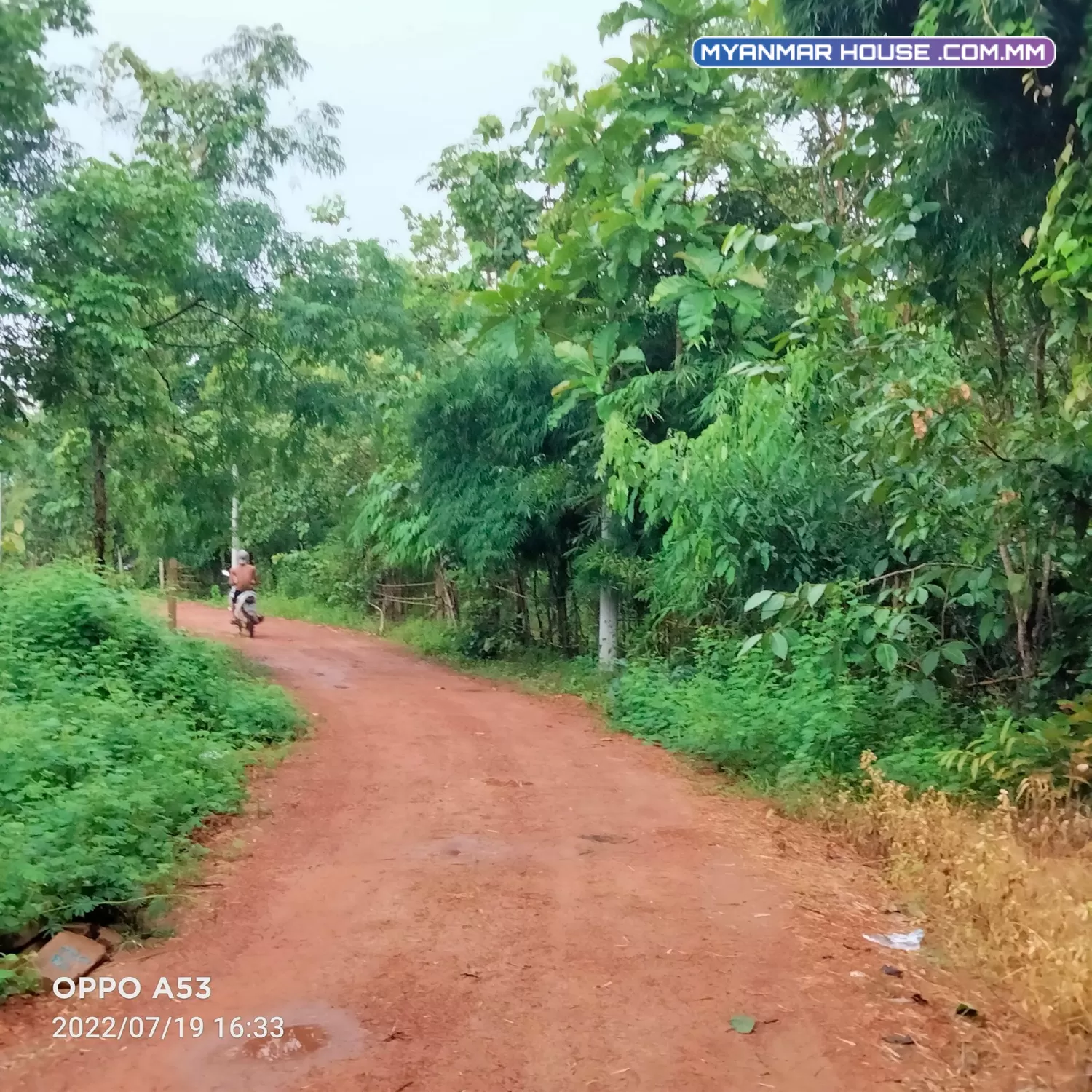 တိုက်ကြီး မေတ္တာအေးရွာဘက်မှာရှိတဲ့ မြေကွက်ရောင်းပါမယ် အကျယ်အဝန်း (၁၆၀ x ၄၂၀ x ၃၇၅)ပေ၊ ၂ ဧကပါ။