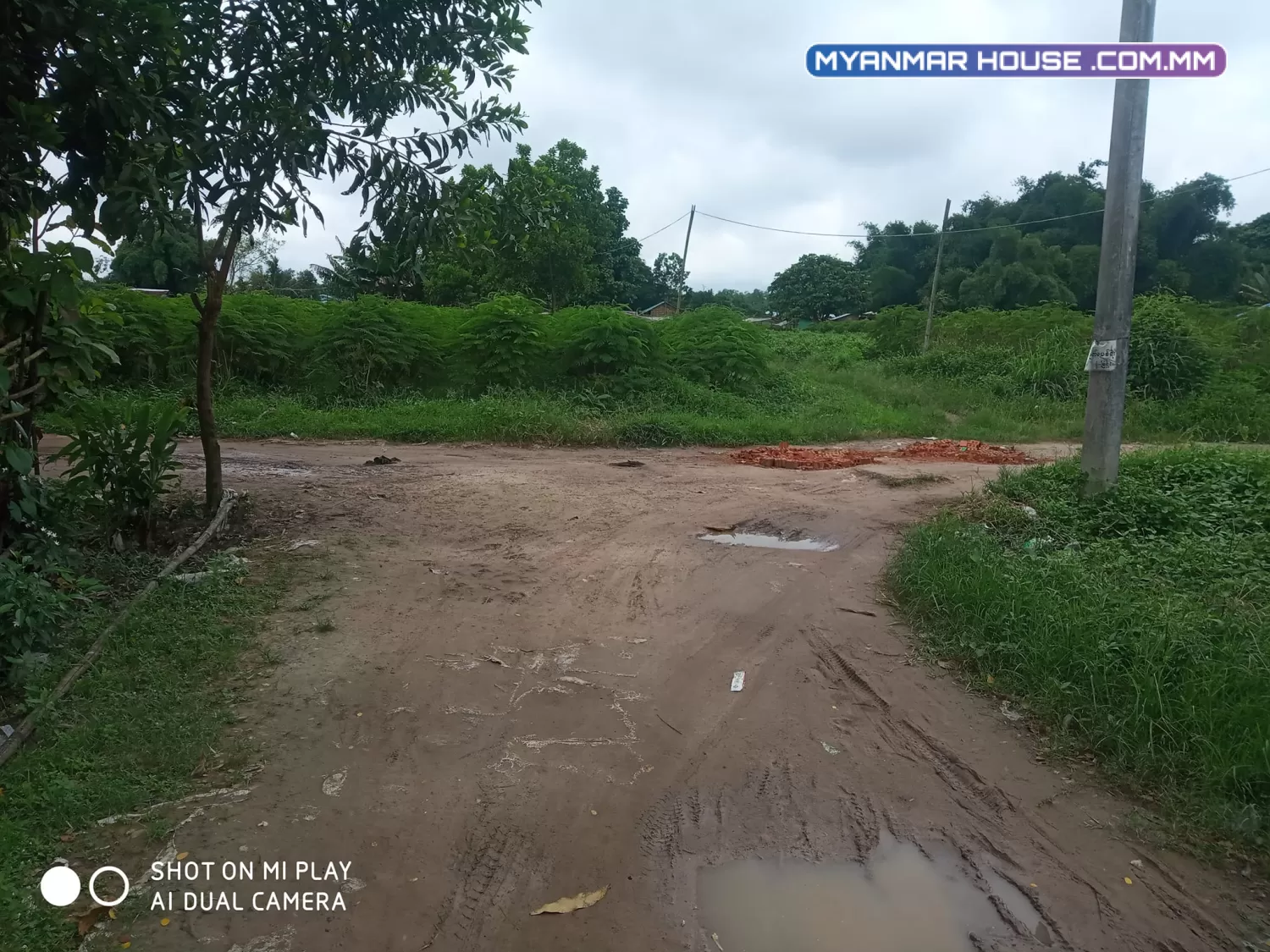 မှော်ဘီတိုးဂိတ်မရောက်ခင် ထိန်စွန်းကျေးရွာ ထိန်စွန်း ၁ လမ်းသွယ် ကင်ပွန်းခင်း ရောင်းမယ်