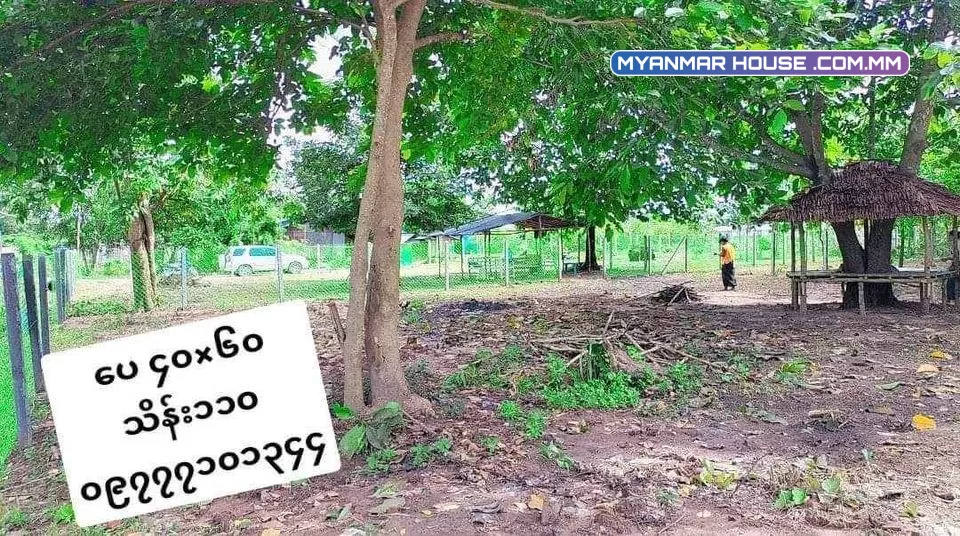 ပိုင်ရှင်တိုက်ရိုက်ပါ ရန်ကုန်တိုင်း မှော်ဘီမြို့နယ်၊ ပေ ၄၀×၆၀၊  ၆၀×၇၀ G မြေလေးများ ရောင်းရန်ရှိပါသည်။