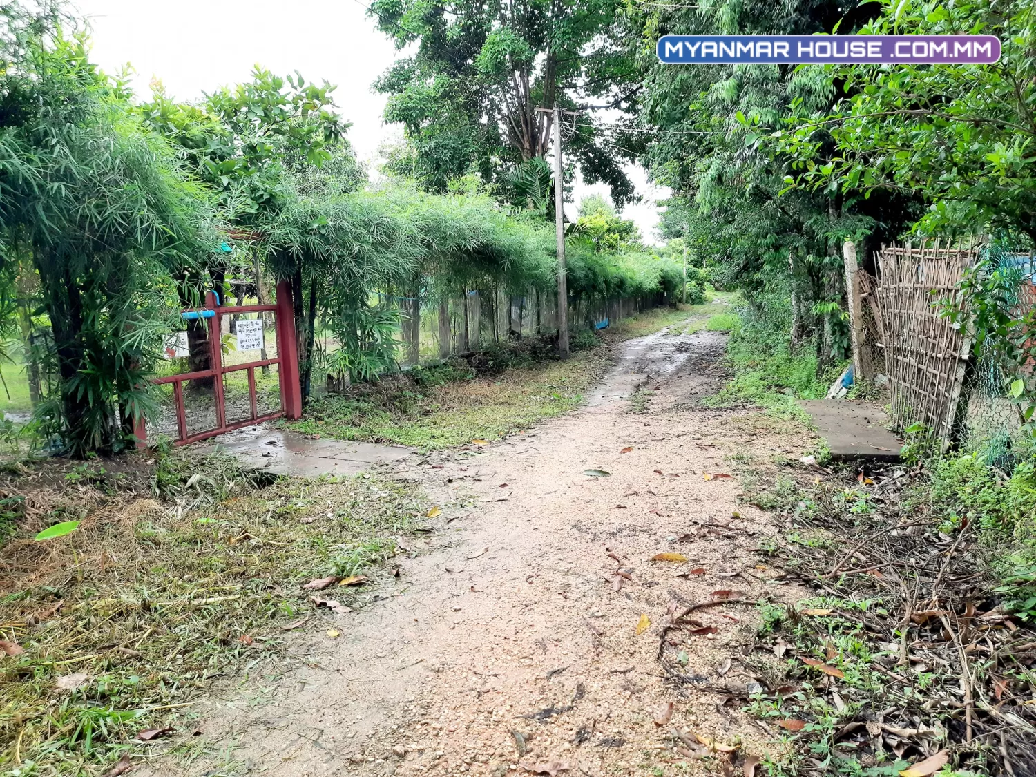 ‼️👌 ဥယျာဥ်ခြံ​ အရောင်း 👌‼️ ဥက္ကံရွာမ၊ တိုက်ကြီးမြို့နယ်။