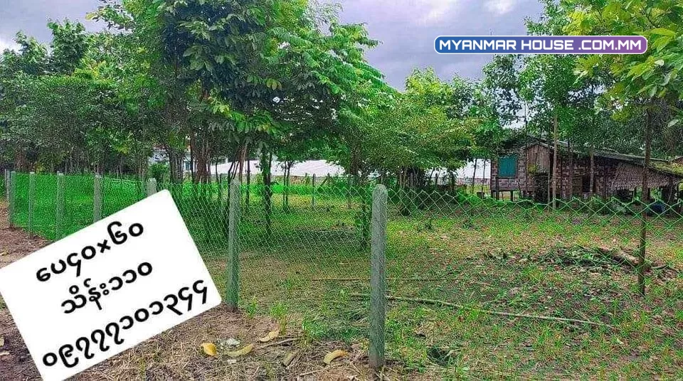 ပိုင်ရှင်တိုက်ရိုက်ပါ ရန်ကုန်တိုင်း မှော်ဘီမြို့နယ်၊ ပေ ၄၀×၆၀၊  ၆၀×၇၀ G မြေလေးများ ရောင်းရန်ရှိပါသည်။