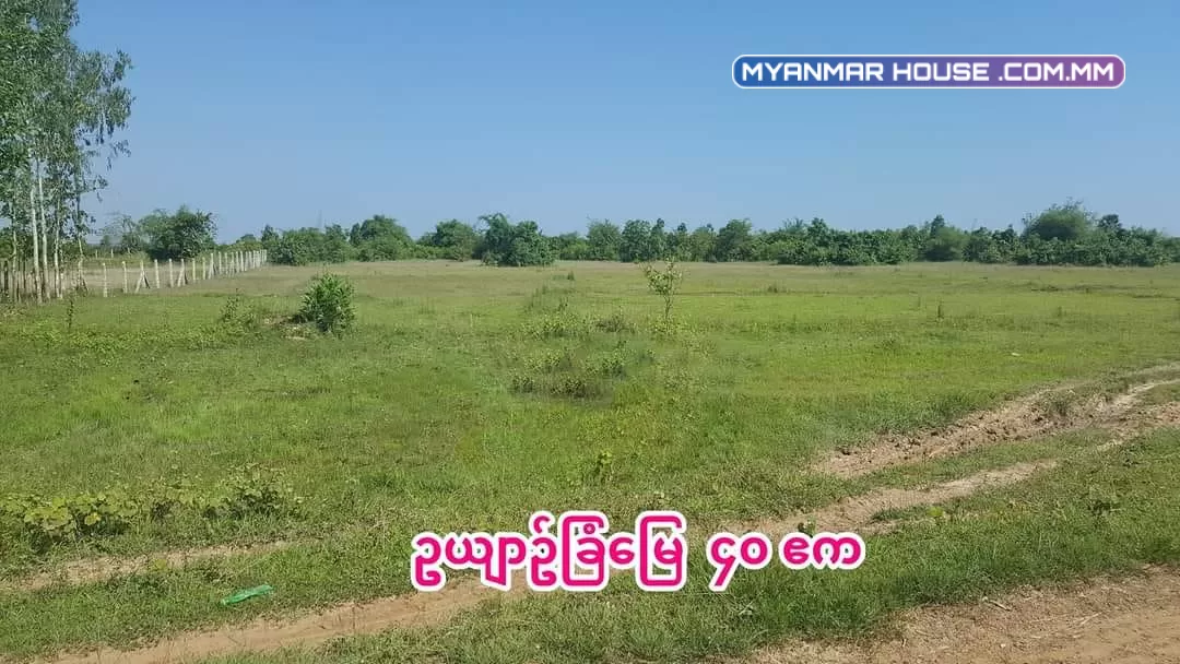 ဥယျာဥ်ခြံမြေ၊ မြေဧက အကျယ်က ၄၀.၀၀ ကျော်၊ ရန်ကုန်တိုင်းဒေသကြီး၊ တိုက်ကြီးမြို့နယ်