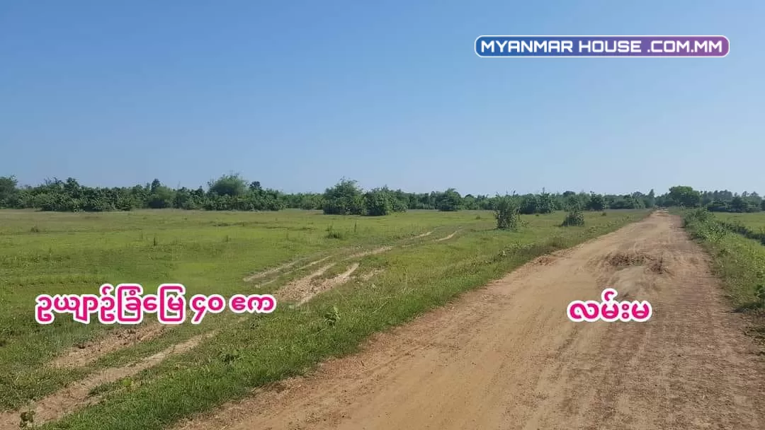 ဥယျာဥ်ခြံမြေ၊ မြေဧက အကျယ်က ၄၀.၀၀ ကျော်၊ ရန်ကုန်တိုင်းဒေသကြီး၊ တိုက်ကြီးမြို့နယ်