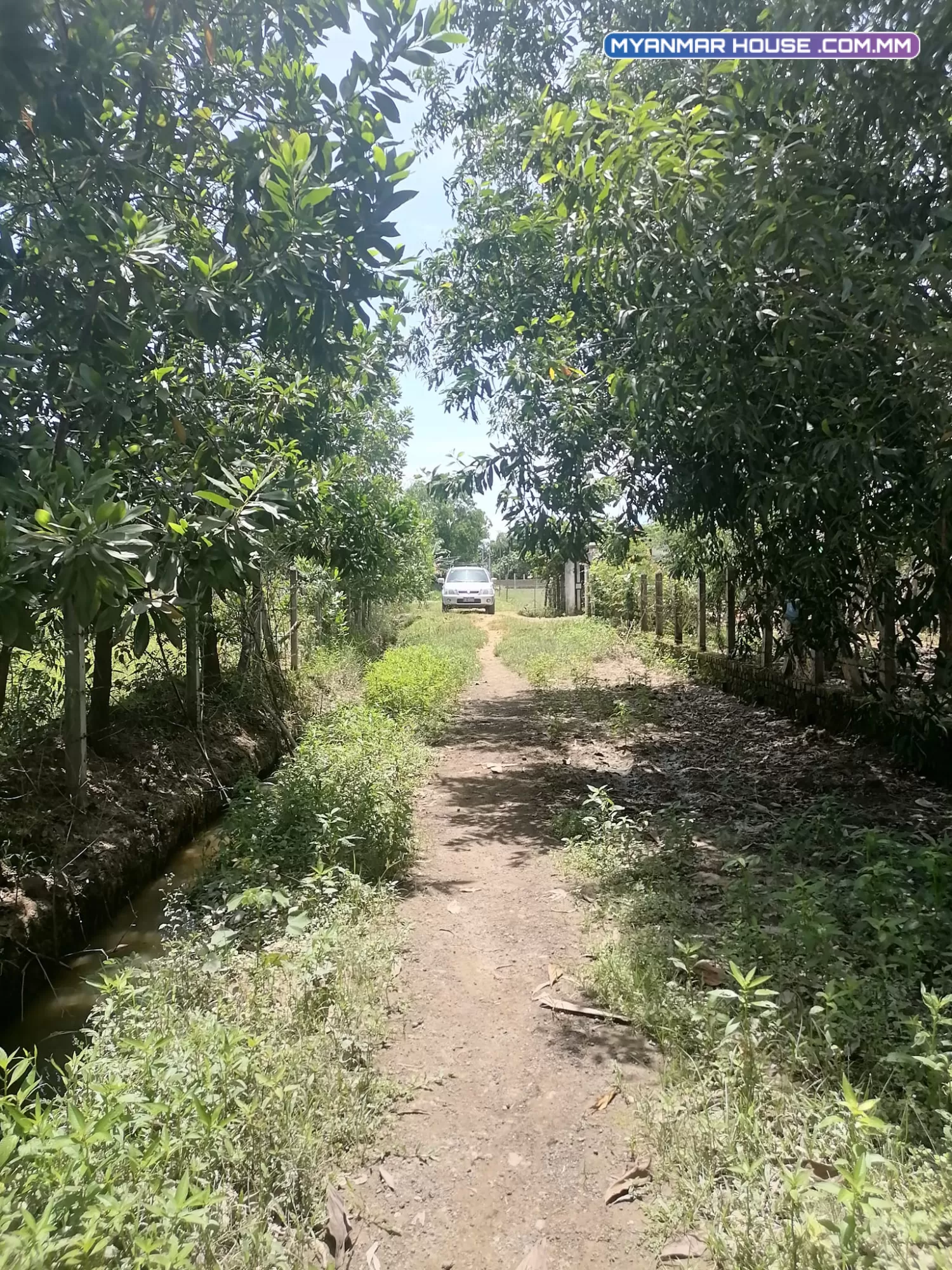 တိုက်ကြီးအဝင် ရွှေမြယာ ပြည်လမ်းမအနီး ၃ဧကနီးပါ ၇၀၀ သိန်း