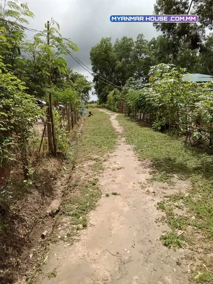 အိမ်နှင့်ခြံရောင်းမည် < မှော်ဘီမြို့နယ် သိန်း ၁၅၀ အလျော့ရှိပါသေးသည်