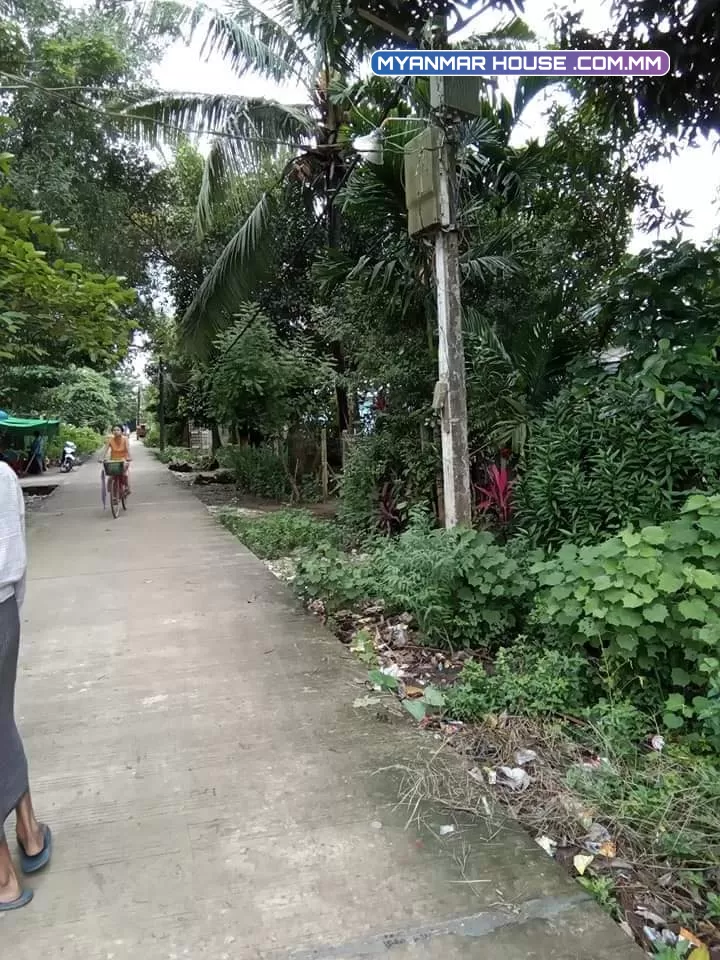 မှော်ဘီမြို့နယ် မြောင်းတကာ ကွက်သစ် ၅လမ်း ခြံမြေ ၂၅×၁၀၀ ပေ