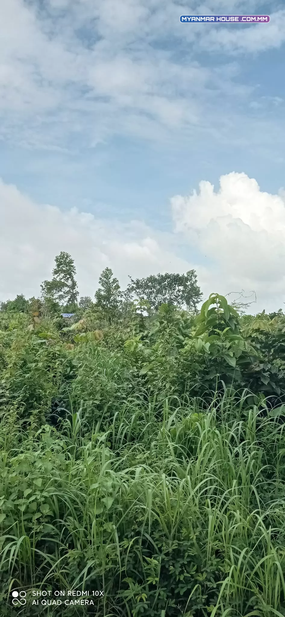 ခြံရောင်းပါမည် ဥယျဥ်ခြံမြေ စာရွက်စာတမ်းပိုင်ရှင်အမည်ပေါက် တိုက်ကြီးမြို့နယ် မေတ္တာအေးကျေးရွာ