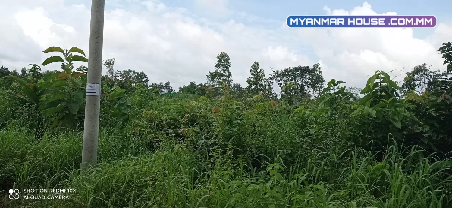 ခြံရောင်းပါမည် ဥယျဥ်ခြံမြေ စာရွက်စာတမ်းပိုင်ရှင်အမည်ပေါက် တိုက်ကြီးမြို့နယ် မေတ္တာအေးကျေးရွာ