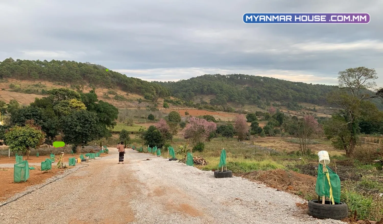 ရောင်းရန် - ခြံ ၊ မြေကွက် - ကလောမြို့ (မြင်းက ပုံစံ-၇) သိန်း ၄၂၀၀ ဖြင့်ရောင်းမည်။