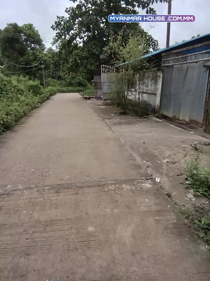မှော်ဘီမြို့နယ် မြောင်းတကာ ကွက်သစ် ၅လမ်း ခြံမြေ ၂၅×၁၀၀ ပေ