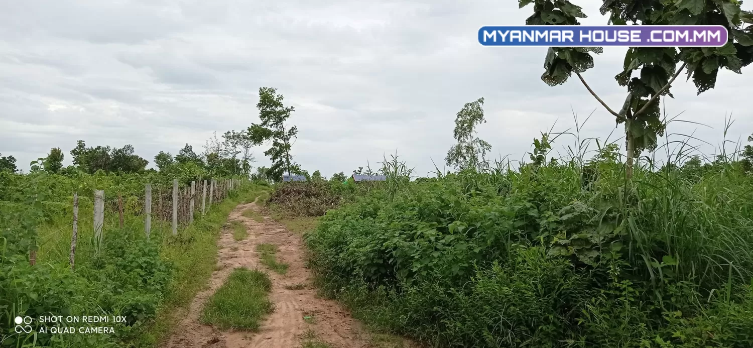 ခြံရောင်းပါမည် ဥယျဥ်ခြံမြေ စာရွက်စာတမ်းပိုင်ရှင်အမည်ပေါက် တိုက်ကြီးမြို့နယ် မေတ္တာအေးကျေးရွာ