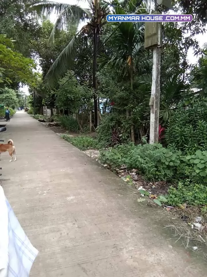 မှော်ဘီမြို့နယ် မြောင်းတကာ ကွက်သစ် ၅လမ်း ခြံမြေ ၂၅×၁၀၀ ပေ