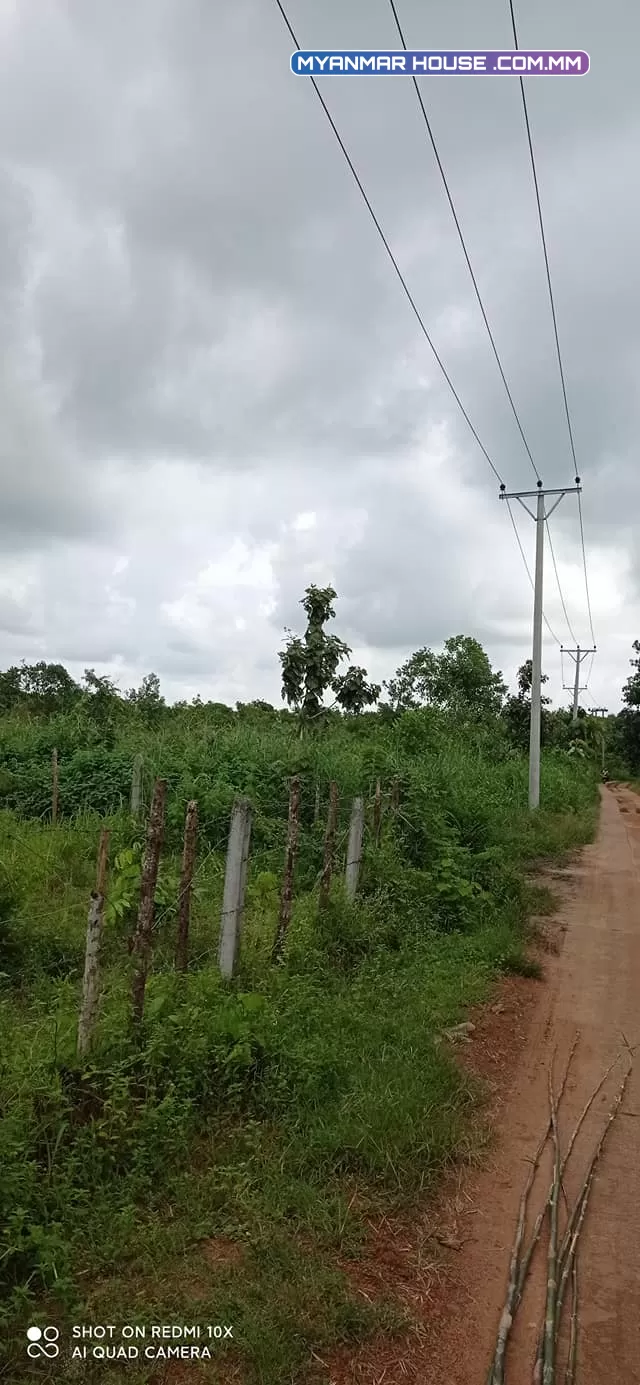ခြံရောင်းပါမည် ဥယျဥ်ခြံမြေ စာရွက်စာတမ်းပိုင်ရှင်အမည်ပေါက် တိုက်ကြီးမြို့နယ် မေတ္တာအေးကျေးရွာ