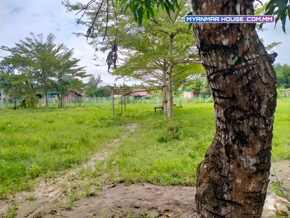 မှော်ဘီ၊ ခြံ ကျယ်ကျယ်၊ ခြံခတ်ပီးသား /ရေခံမြေခံလည်းကောင်း ရေလွယ်မီးလွယ် ကား၀င်/ထွက်လည်းပြေ