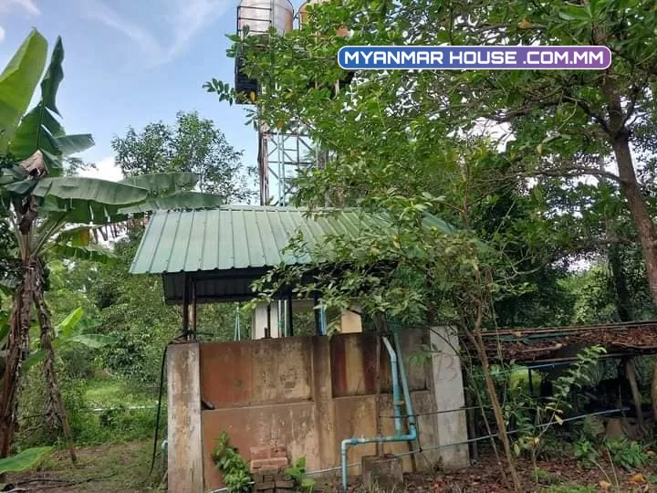 ရန်ကုန်တိုင်းဒေသကြီး၊ မှော်ဘီမြို့နယ်၊ ပန်းတပွင့်တောင်အနီး 🛐 ဥယျာဥ် ခြံမြေ ၇ ဧက