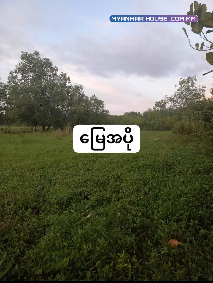 ရန်ကုန်တိုင်း ဒေသကြီး 💯 တိုက်ကြီးမြို့နယ် 💯 ဆည်မြောင်းမှတ်တိုင်