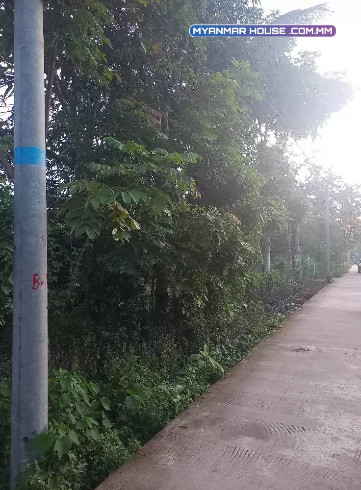 ရန်ကုန်တိုင်း ဒေသကြီး 💯 တိုက်ကြီးမြို့နယ် 💯 ဆည်မြောင်းမှတ်တိုင်