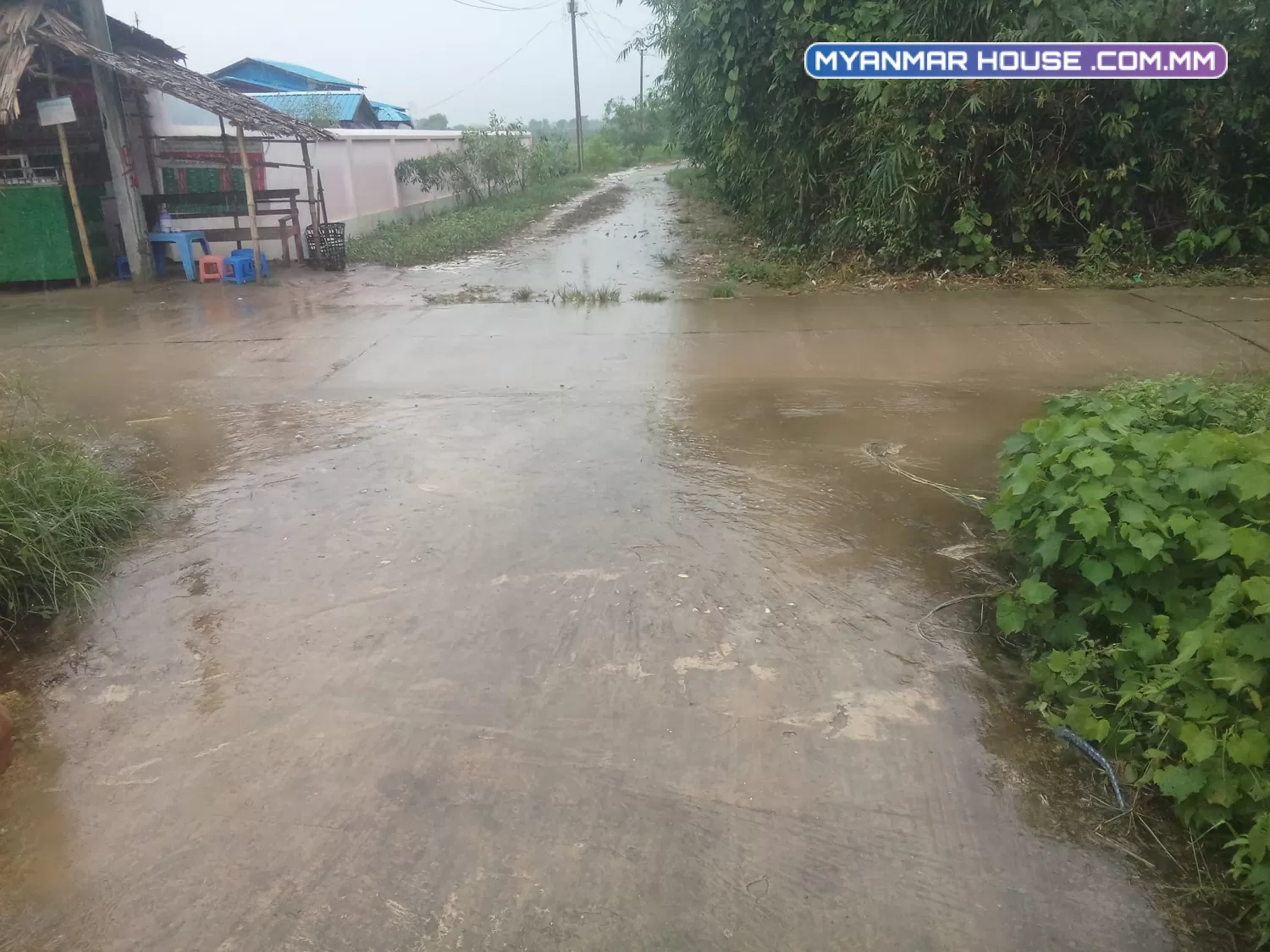 ဂရမ်ခြံ ရောင်းမည်၊ အနောက်ပိုင်အကျော် ထန်းတပင်မြို့အနီး ကျောင်ကုန်မှတ်တိုင်
