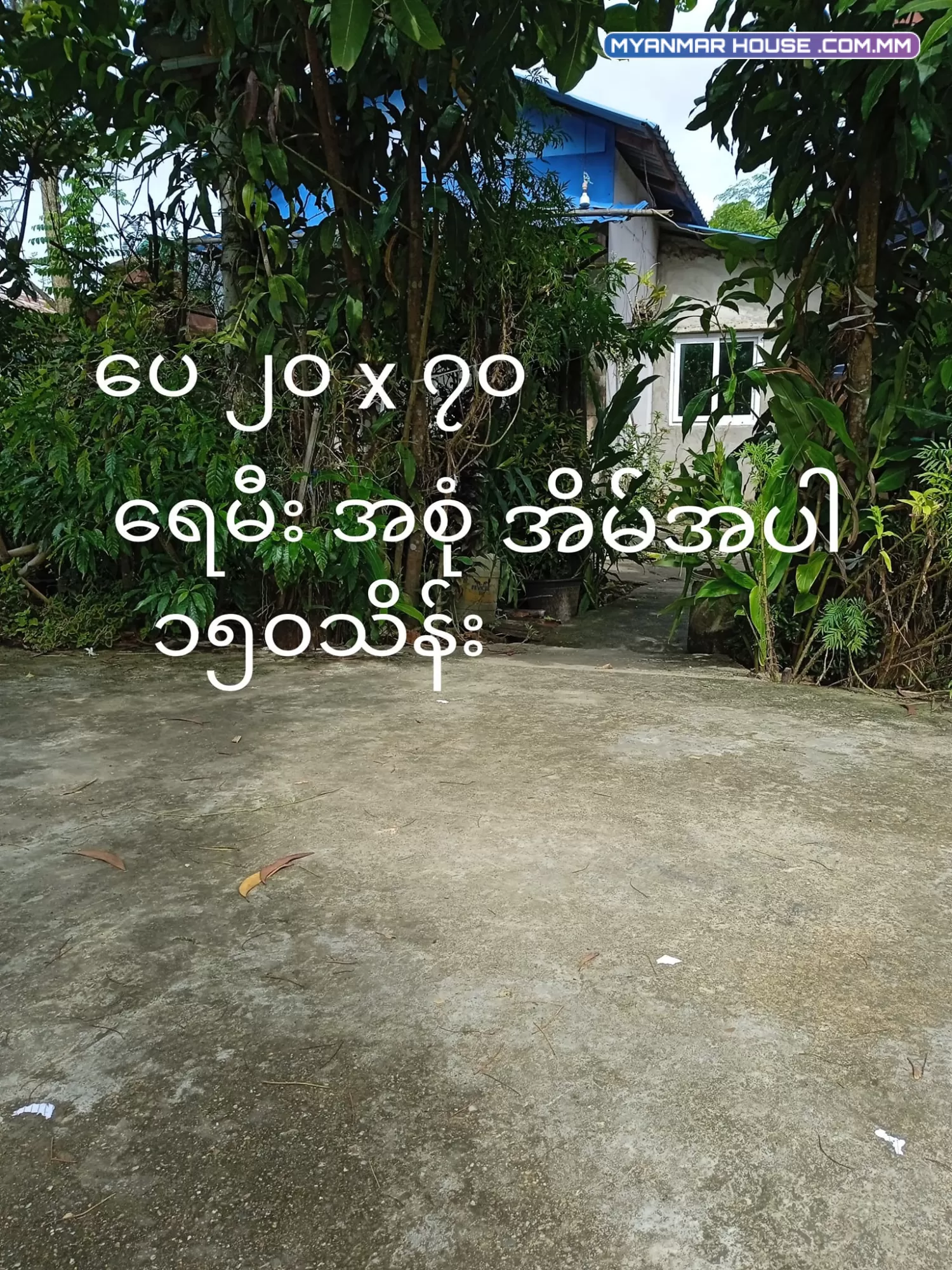ရန်ကုန် အနောက်ပိုင်းတဣသိုလ် ထန်းတပင်မြို့နယ် ခြံကွက်များရောင်းရန်ရှိပါသည်
