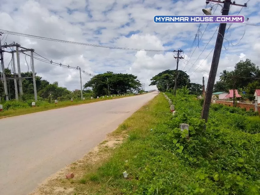 ရန်ကုန်တိုင်းဒေသကြီး🌳 ထန်းတပင်မြို့နယ်၊ ထန်းတပင် မြို့ချောင်း လမ်းမမေးတင်🌳 ဥယျာဥ်ခြံမြေ