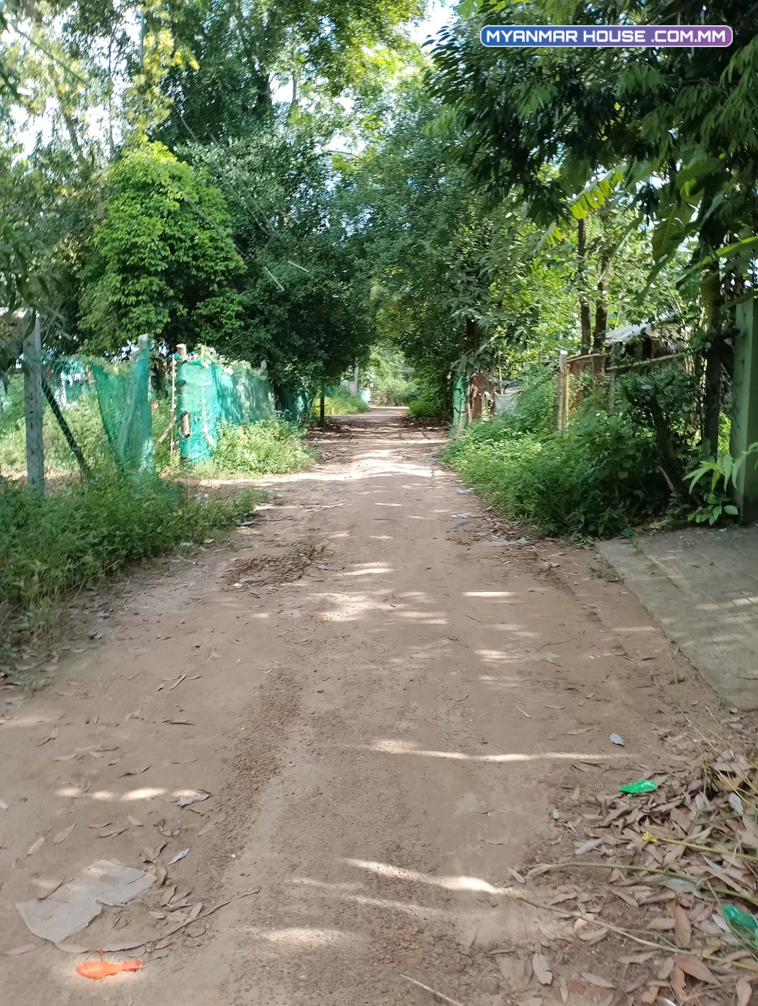 မှော်ဘီမြို့ ရွှေမြယာရွာ ပြည်လမ်းကျောကပ် ပေ100.100 သိန်း270 ရေမီးအစုံ အခန်း2ခန်းပါ
