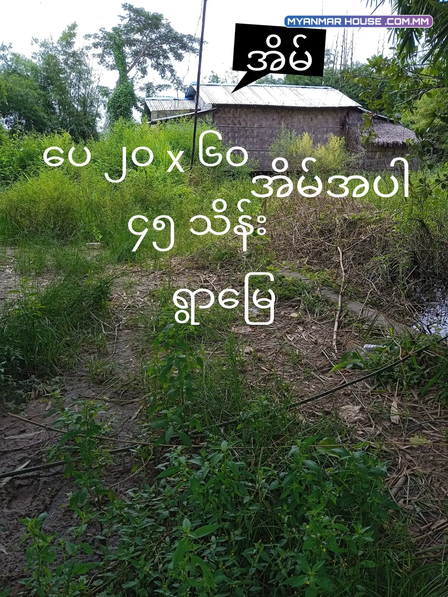 ရန်ကုန် အနောက်ပိုင်းတဣသိုလ် ထန်းတပင်မြို့နယ် ခြံကွက်များရောင်းရန်ရှိပါသည်