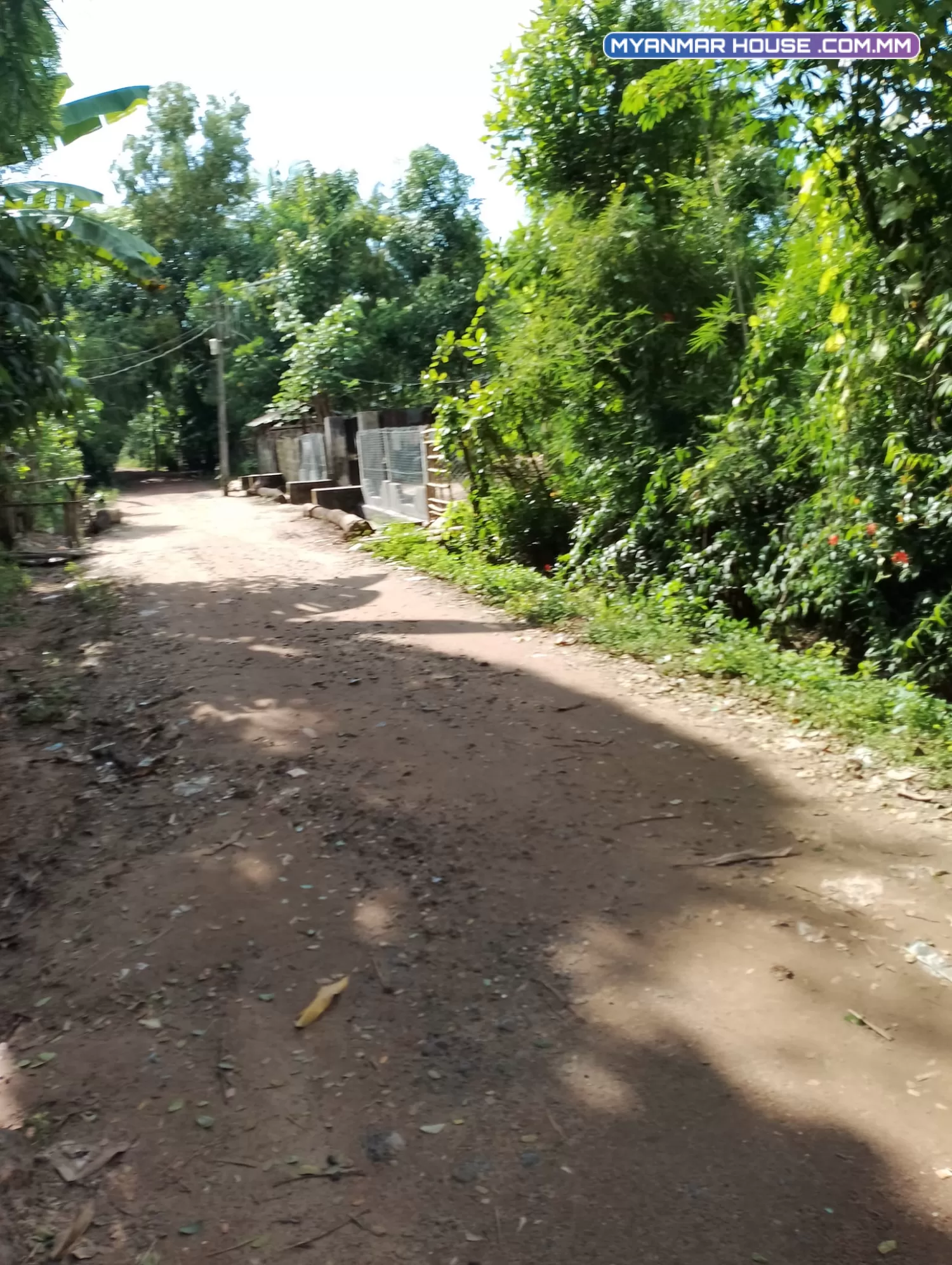 မှော်ဘီမြို့ ရွှေမြယာရွာ ပြည်လမ်းကျောကပ် ပေ100.100 သိန်း270 ရေမီးအစုံ အခန်း2ခန်းပါ