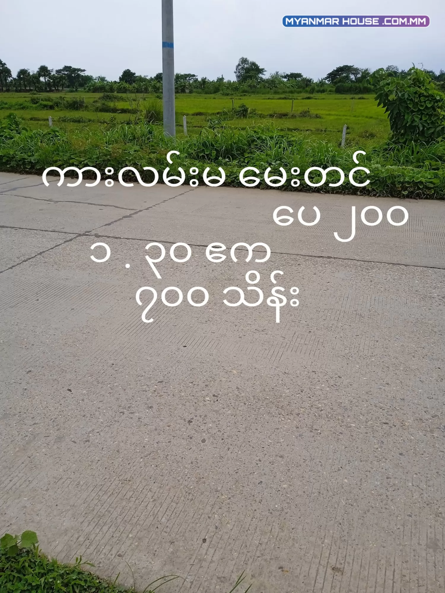 ရန်ကုန် အနောက်ပိုင်းတဣသိုလ် ထန်းတပင်မြို့နယ် ခြံကွက်များရောင်းရန်ရှိပါသည်