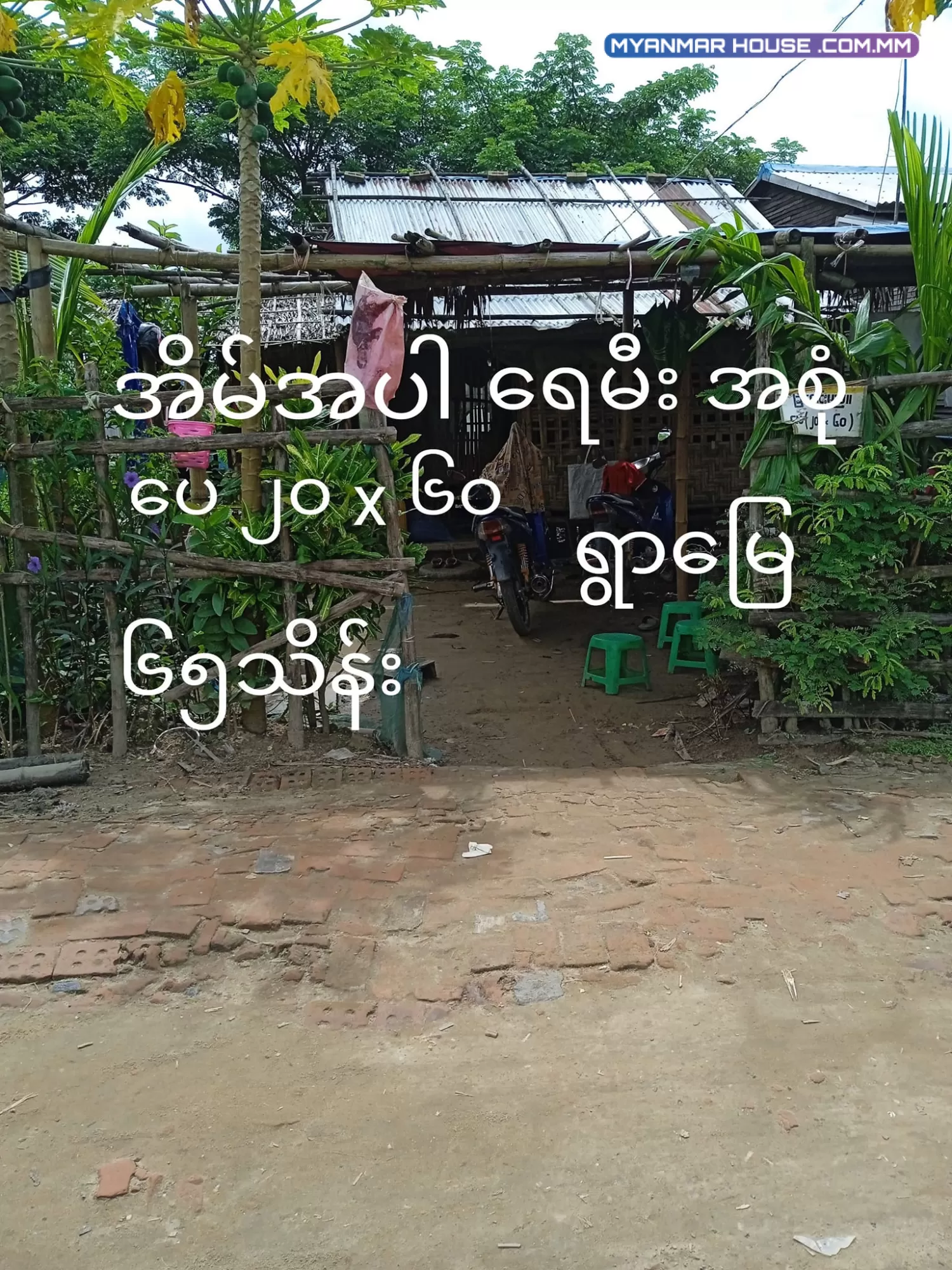 ရန်ကုန် အနောက်ပိုင်းတဣသိုလ် ထန်းတပင်မြို့နယ် ခြံကွက်များရောင်းရန်ရှိပါသည်