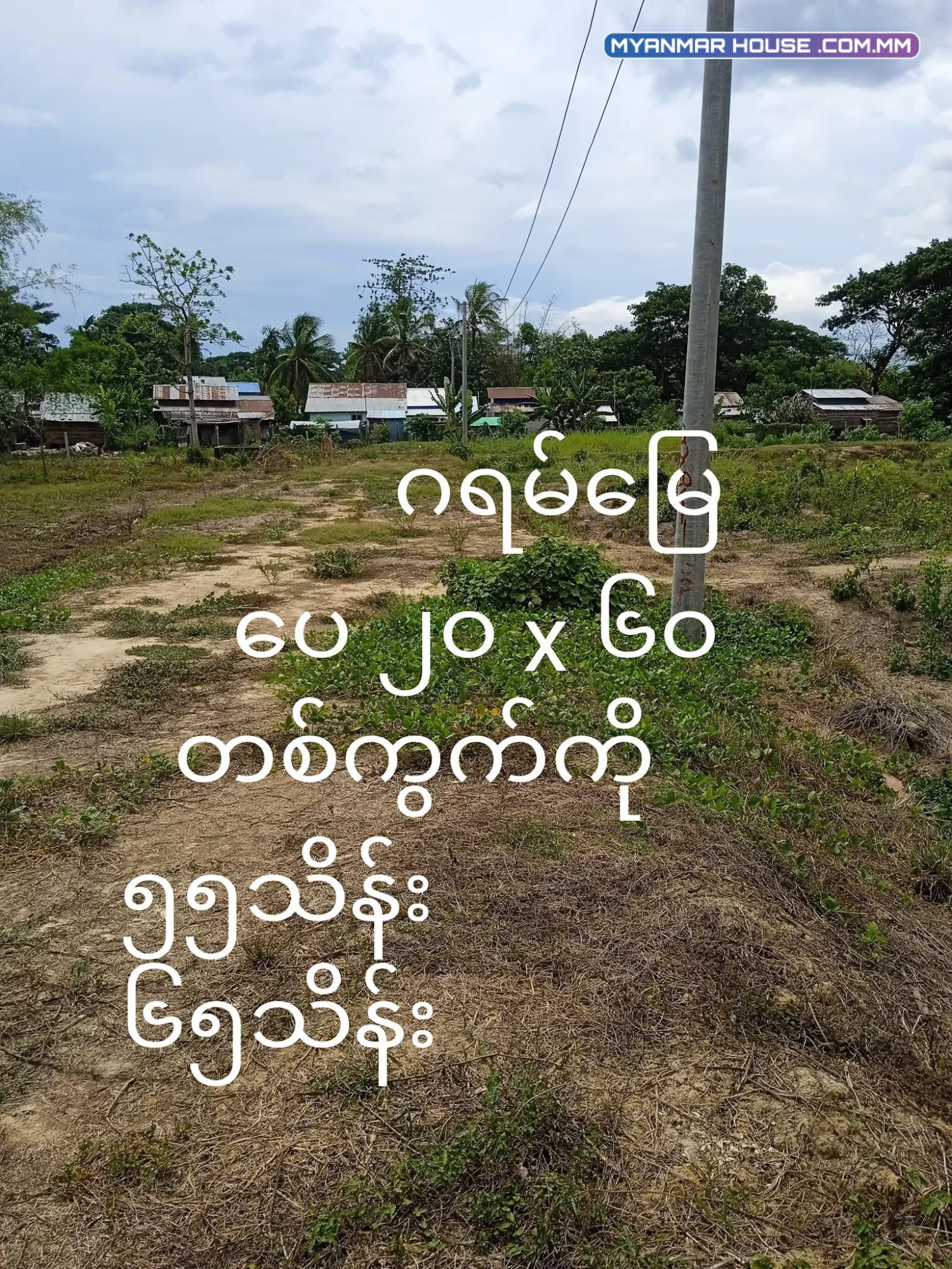ရန်ကုန် အနောက်ပိုင်းတဣသိုလ် ထန်းတပင်မြို့နယ် ခြံကွက်များရောင်းရန်ရှိပါသည်