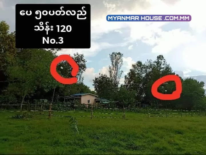 အရစ်ကျရတဲ့ မြေကွက်လေးနဲ့မိတ်ဆက်ပေးပါမယ် မှော်ဘီမြို့နယ် ကုလားကုန်းစံပြကျေးရွာ