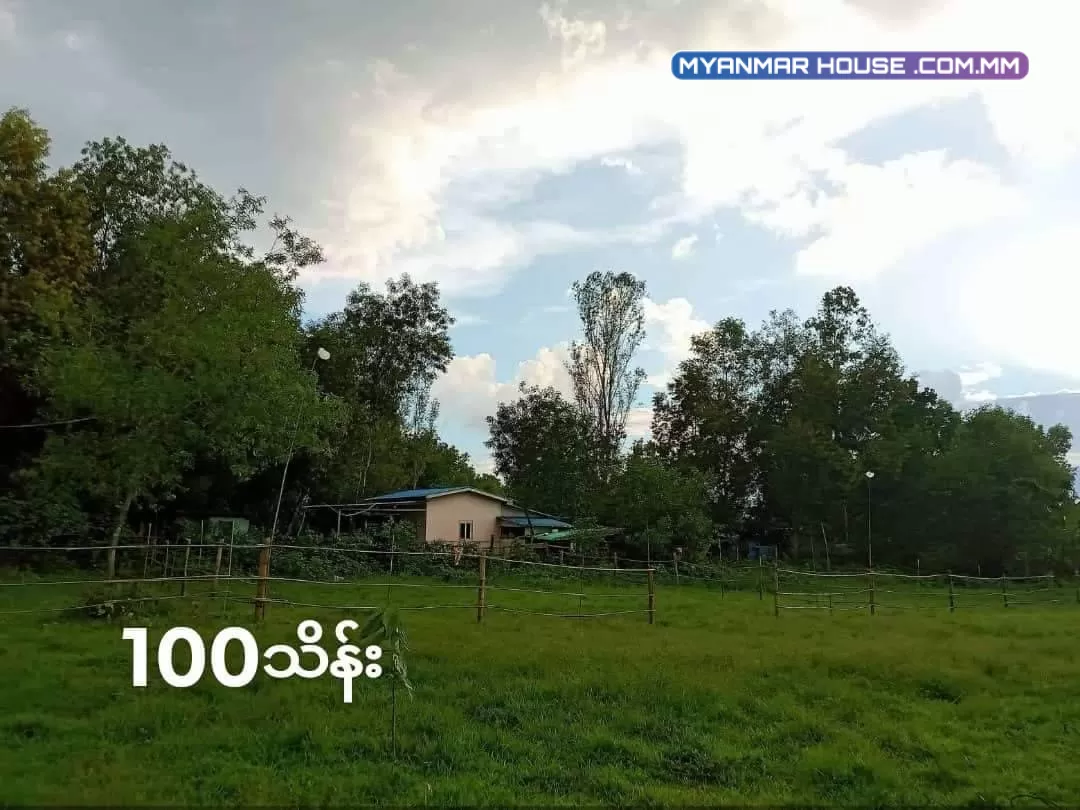 အရစ်ကျရတဲ့ မြေကွက်လေးနဲ့မိတ်ဆက်ပေးပါမယ် မှော်ဘီမြို့နယ် ကုလားကုန်းစံပြကျေးရွာ