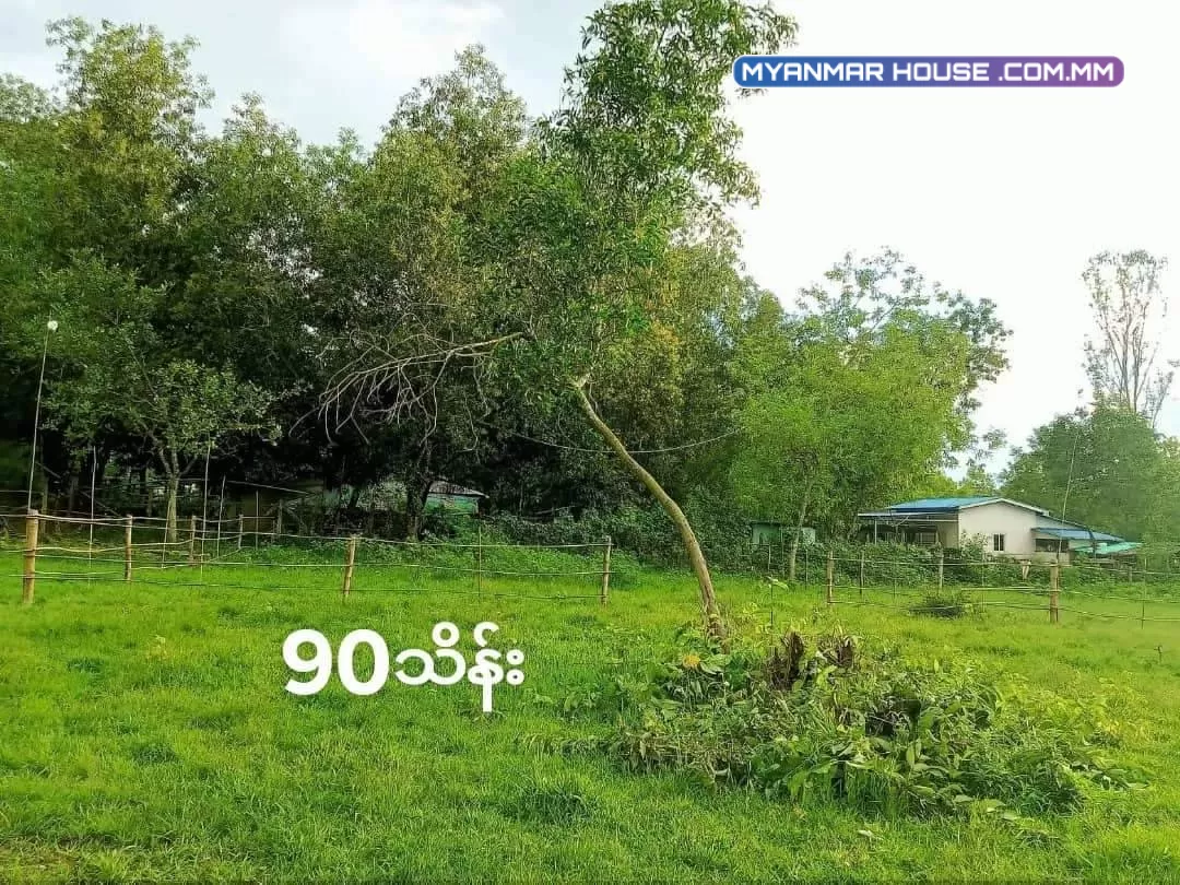 အရစ်ကျရတဲ့ မြေကွက်လေးနဲ့မိတ်ဆက်ပေးပါမယ် မှော်ဘီမြို့နယ် ကုလားကုန်းစံပြကျေးရွာ