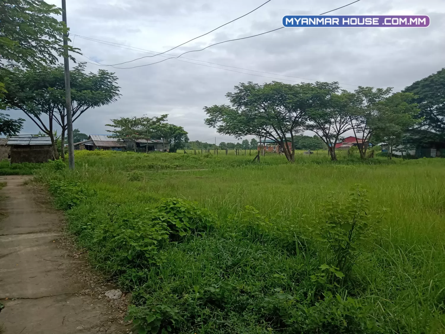 မင်္ဂလာဒုံ ရွှေနံ့သာနှင့်ကပ်လျက် လှည်းကူးငွေနံ့သာ ဘားလားစံပြကျေးရွာမှ 25*50နှစ်ကွက်တွဲ(ဂုတ်ကွက်) ရောင်းမည်