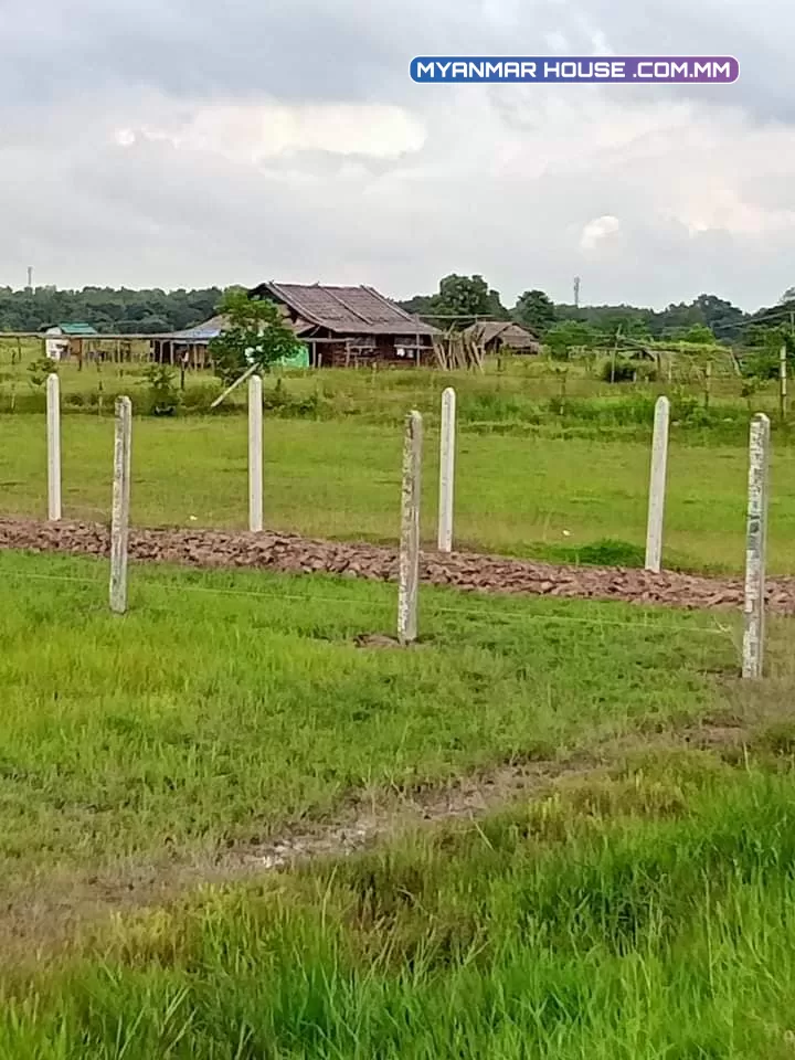 မှော်ဘီ အငိကြင်းကုန်းအုပ်စု ညောင်ပင်သာယာကျေးရွာတွင် ခြံမြေကွက်များရောင်းမည်