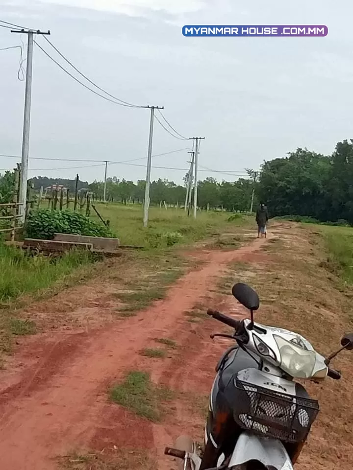 မှော်ဘီ အငိကြင်းကုန်းအုပ်စု ညောင်ပင်သာယာကျေးရွာတွင် ခြံမြေကွက်များရောင်းမည်