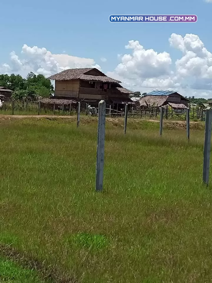 မှော်ဘီ အငိကြင်းကုန်းအုပ်စု ညောင်ပင်သာယာကျေးရွာတွင် ခြံမြေကွက်များရောင်းမည်