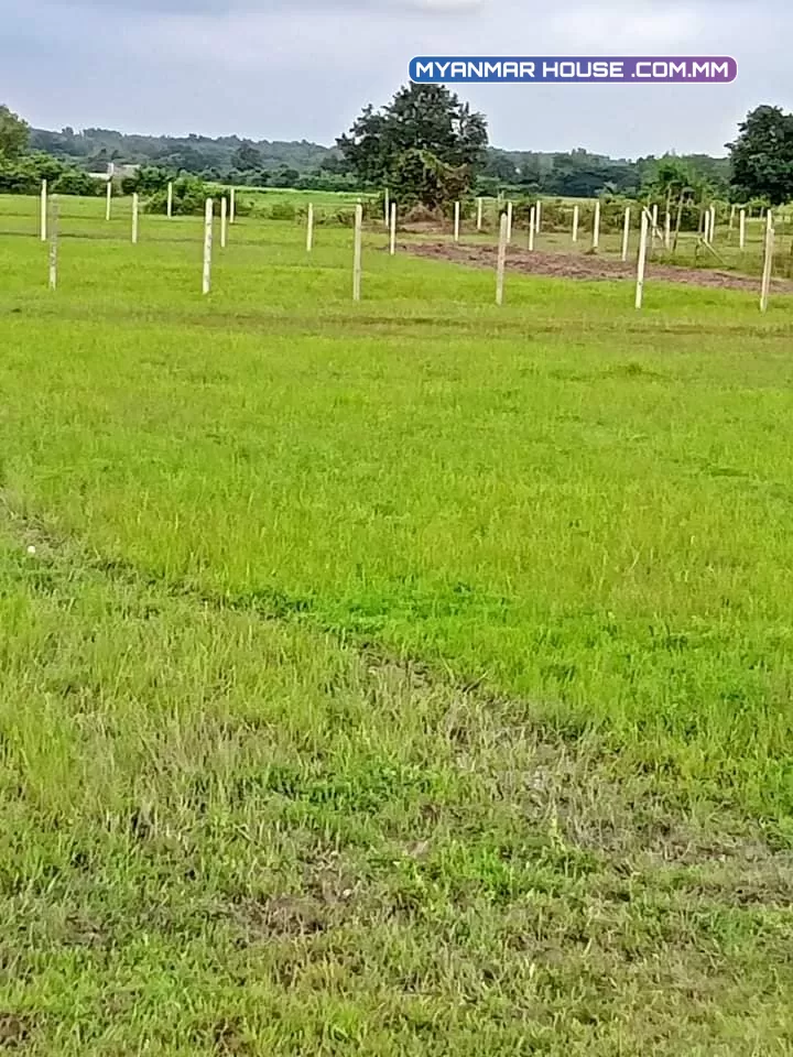 မှော်ဘီ အငိကြင်းကုန်းအုပ်စု ညောင်ပင်သာယာကျေးရွာတွင် ခြံမြေကွက်များရောင်းမည်