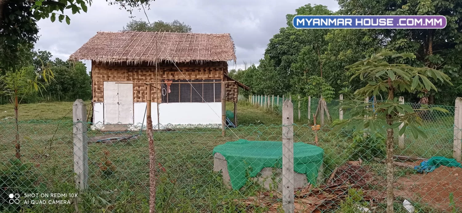 ခြံရောင်းပါမည် တိုက်ကြီးမြို့နယ် မလေးရှာဝိုင်အုပ်စု မေတ္တာအေးကျေးရွာ ပိုင်ရှင်ကိုတိုင်ရောင်းမည်