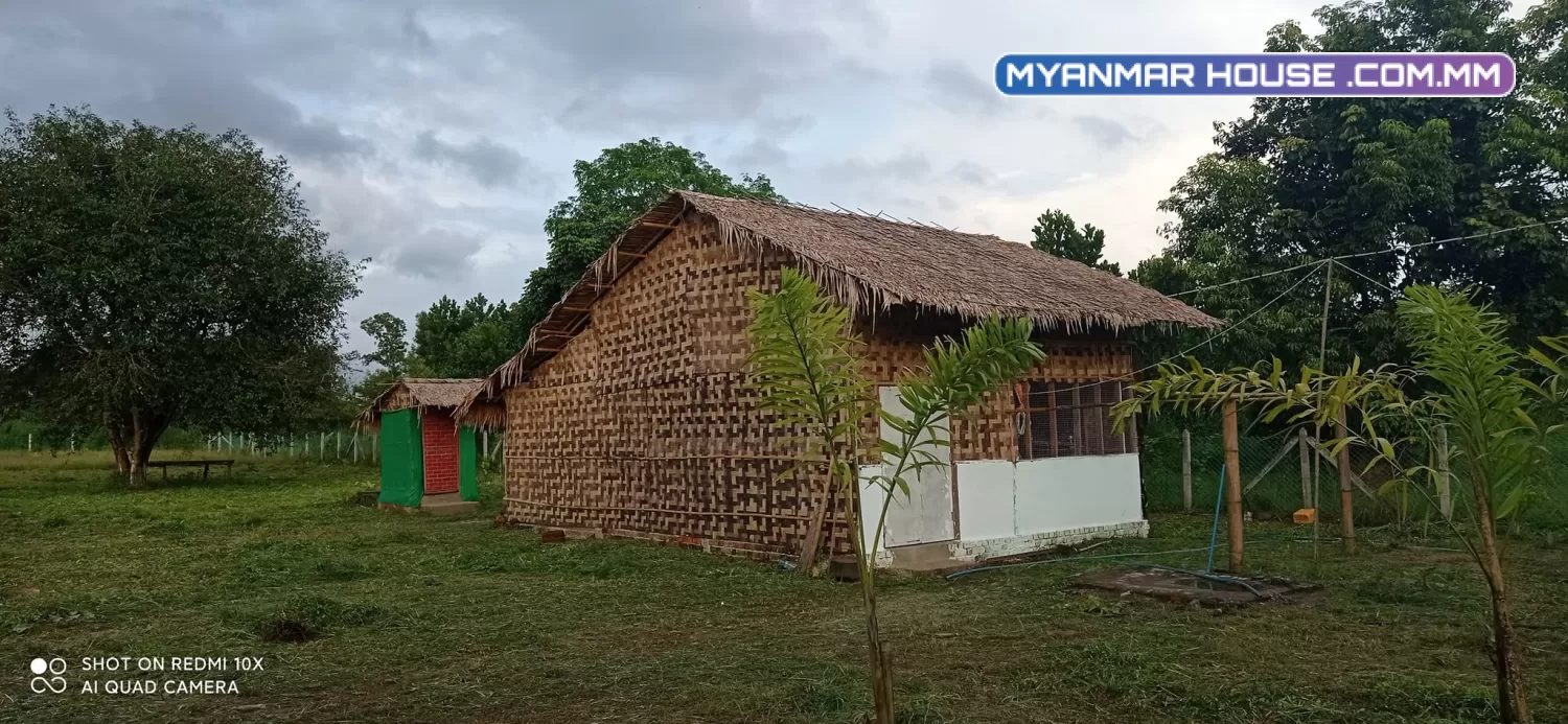 ခြံရောင်းပါမည် တိုက်ကြီးမြို့နယ် မလေးရှာဝိုင်အုပ်စု မေတ္တာအေးကျေးရွာ ပိုင်ရှင်ကိုတိုင်ရောင်းမည်