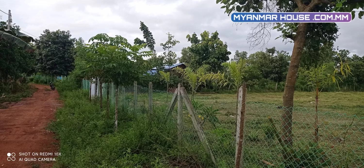 ခြံရောင်းပါမည် တိုက်ကြီးမြို့နယ် မလေးရှာဝိုင်အုပ်စု မေတ္တာအေးကျေးရွာ ပိုင်ရှင်ကိုတိုင်ရောင်းမည်