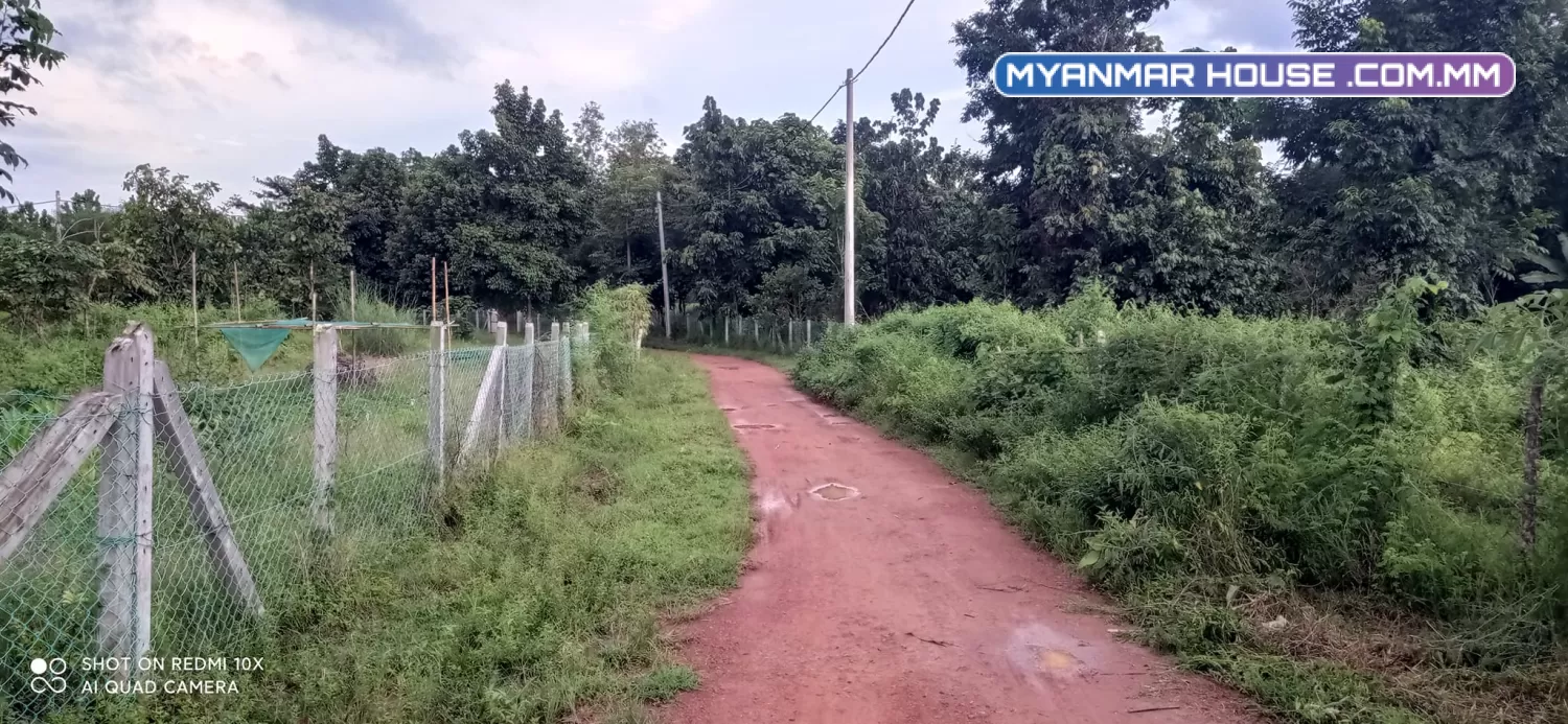 ခြံရောင်းပါမည် တိုက်ကြီးမြို့နယ် မလေးရှာဝိုင်အုပ်စု မေတ္တာအေးကျေးရွာ ပိုင်ရှင်ကိုတိုင်ရောင်းမည်