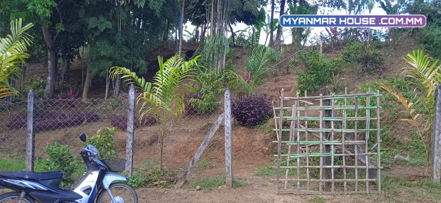 တိုက်ကြီးမြို့ မလေးရှားဝိုင်အုပ်စု အုန္နဲပင်ကျေးရွာ တိုက်ကြီးဖောင်ကြီးလမ်းမေးတင် ရွာမြေ