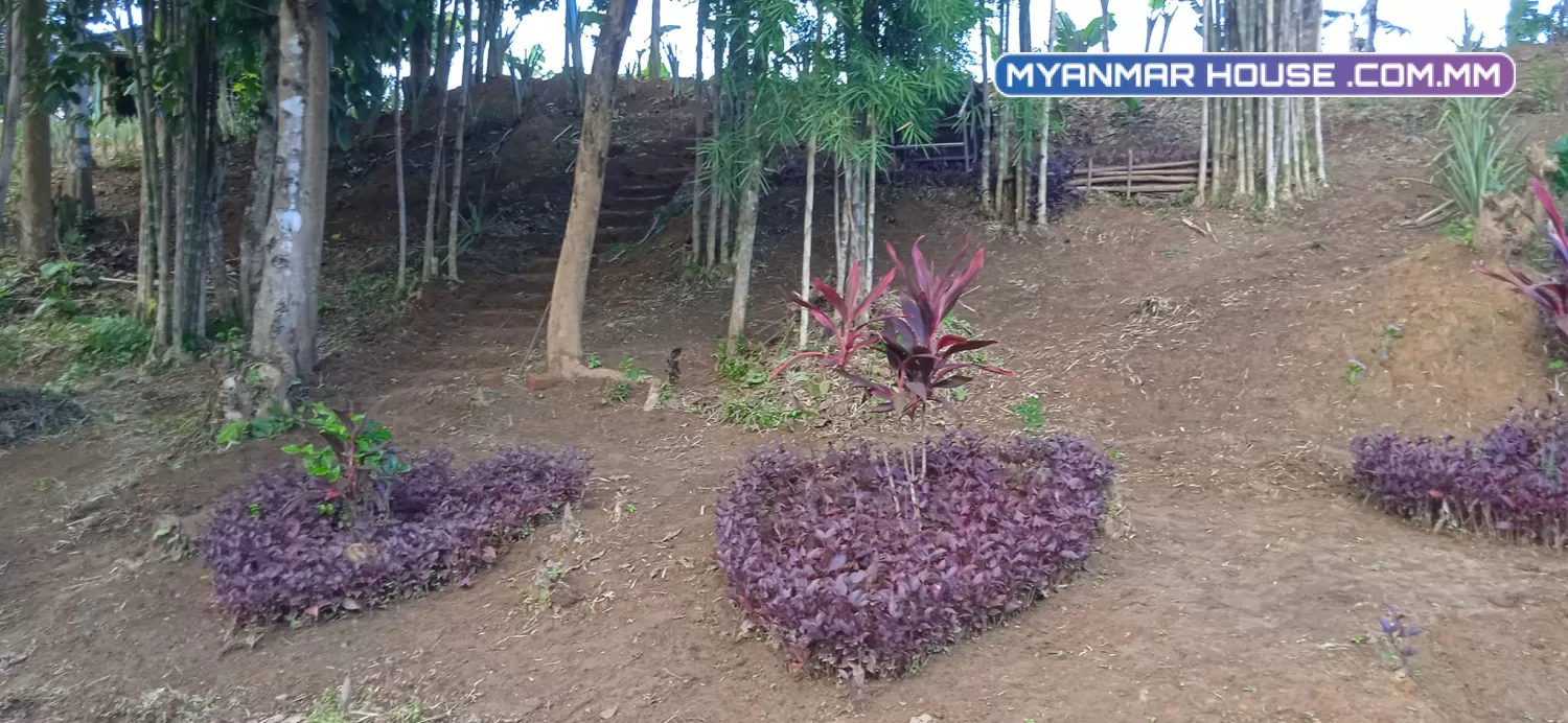 တိုက်ကြီးမြို့ မလေးရှားဝိုင်အုပ်စု အုန္နဲပင်ကျေးရွာ တိုက်ကြီးဖောင်ကြီးလမ်းမေးတင် ရွာမြေ