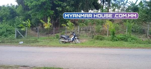 တိုက်ကြီးမြို့ မလေးရှားဝိုင်အုပ်စု အုန္နဲပင်ကျေးရွာ တိုက်ကြီးဖောင်ကြီးလမ်းမေးတင် ရွာမြေ