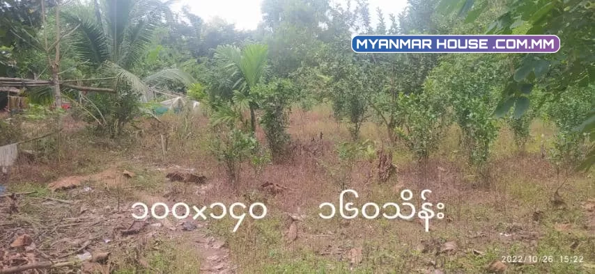 တိုက်ကြီး‌‌ ဖောင်ကြီးလမ်းဘေး မေတ္တာအေးကျေးရွာ ရွာလမ်းမကြီးဘေး